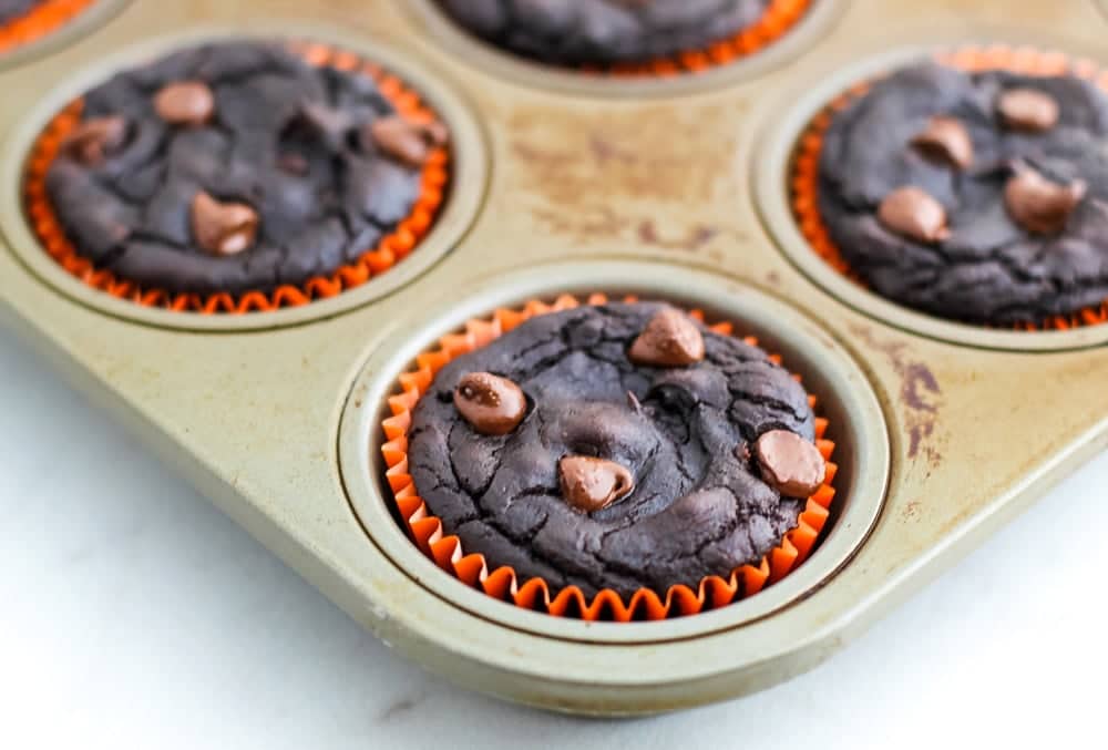 Chocolate Pumpkin Muffins Recipe