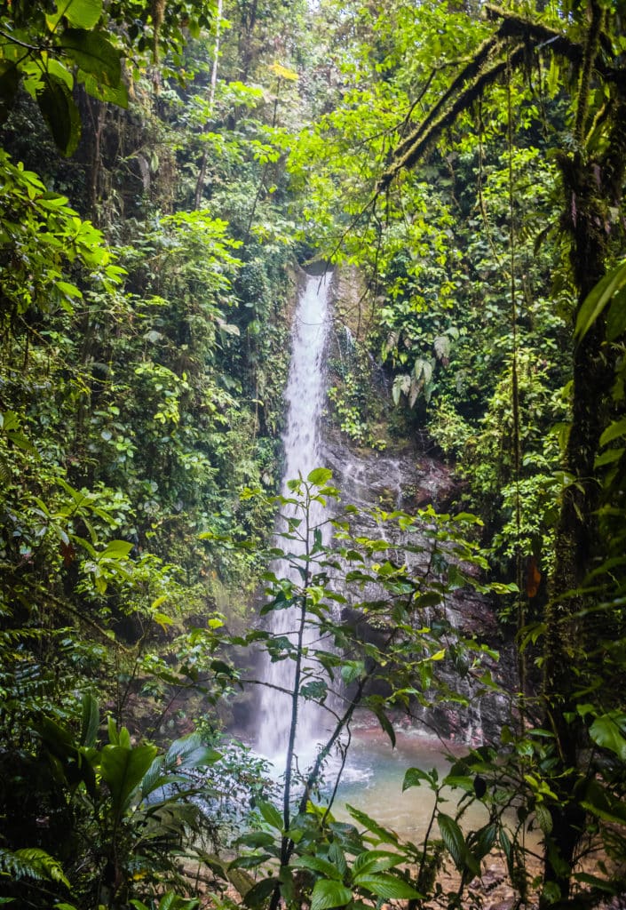 Mashpi healing waterfall