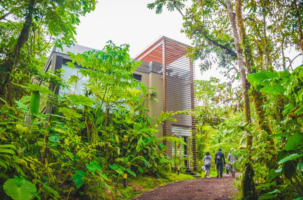 Mashpi lodge Ecuador cloud forest