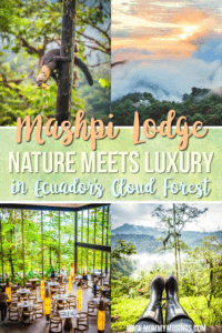 Mashpi Lodge - Nature Meets Luxury in Ecuador's Cloud Forest
