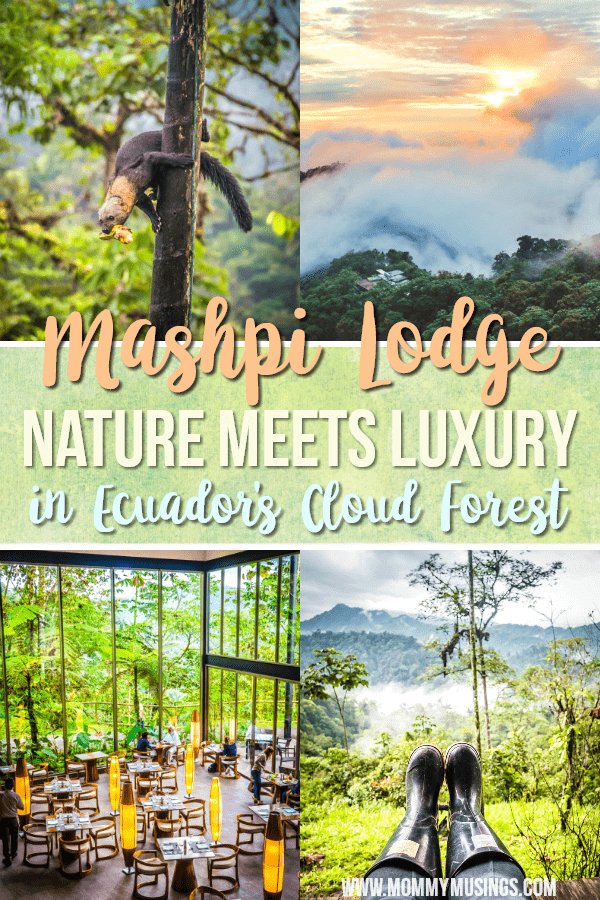 Mashpi Lodge - Nature Meets Luxury in Ecuador's Cloud Forest