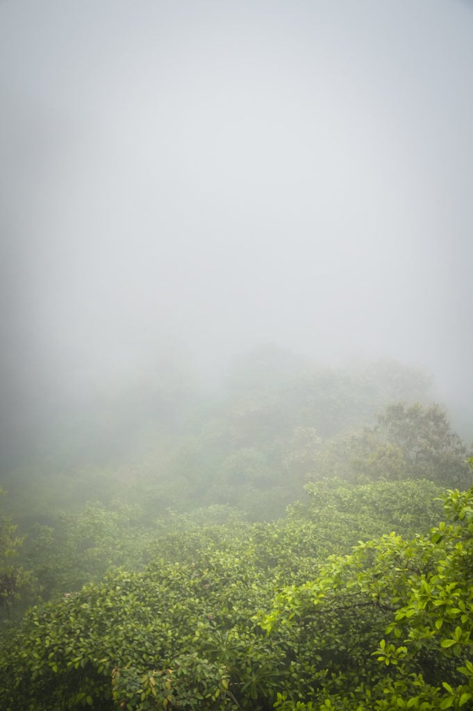 mashpi lodge observation tower cloud forest