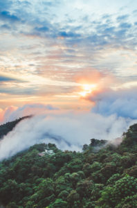 Mashpi lodge Ecuador cloud forest