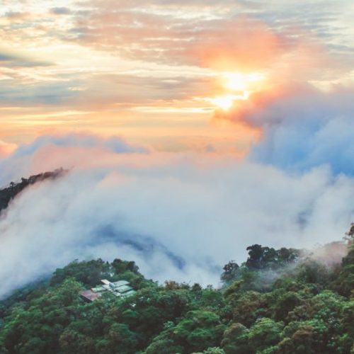 mashpi lodge luxury cloud forest ecuador