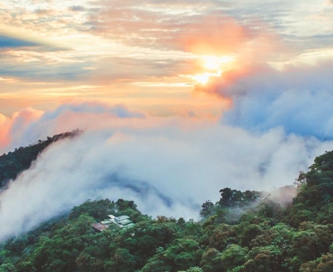 mashpi lodge luxury cloud forest ecuador