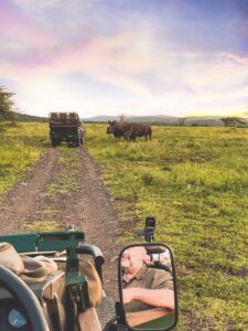 South Africa safari bucket list