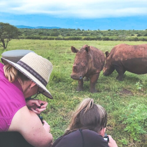 safari national park or private reserve
