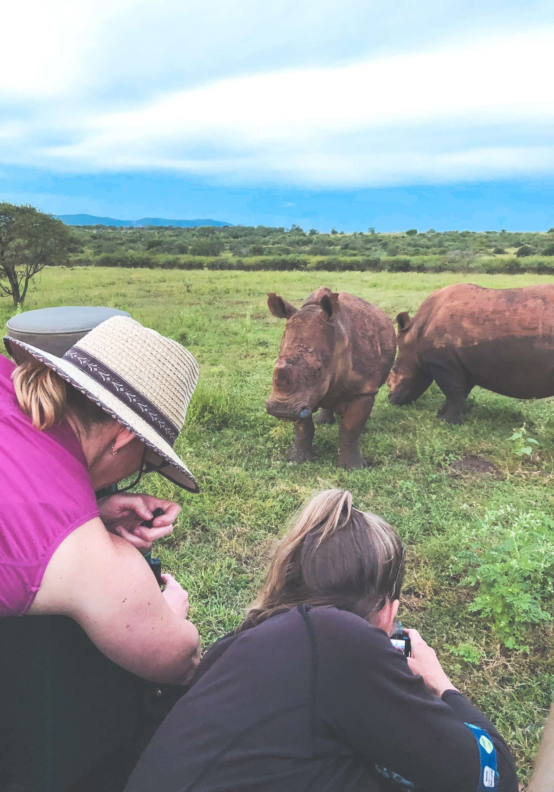 safari national park or private reserve