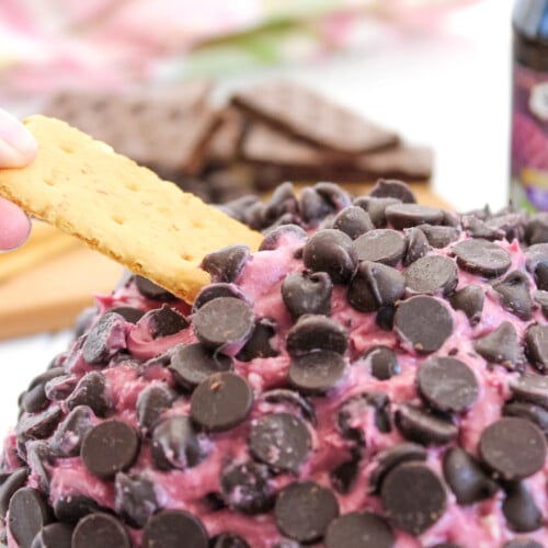 chocolate chip cheese ball