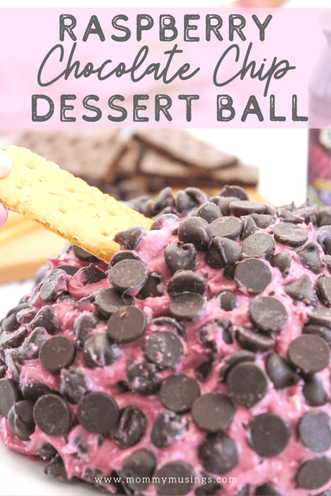 chocolate chip dessert ball