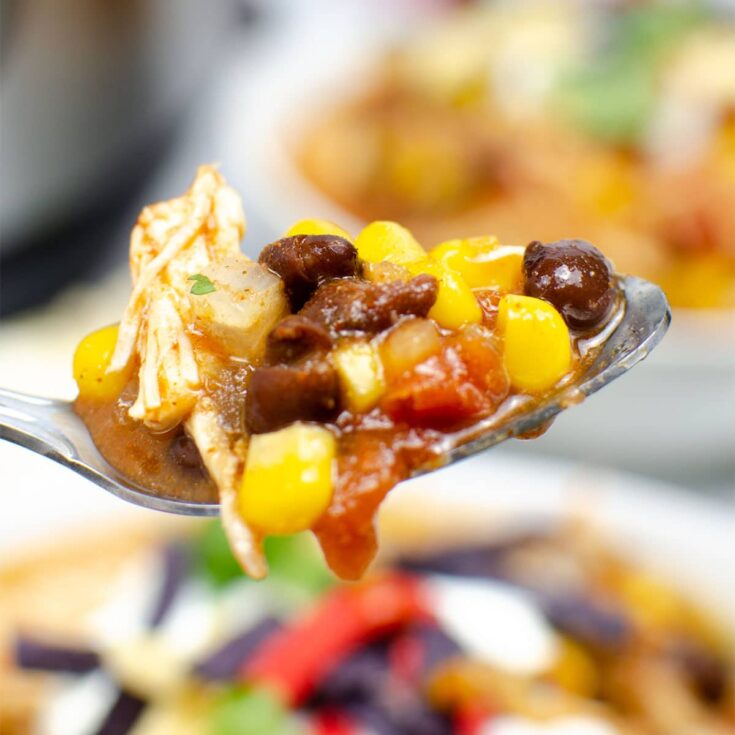 taco soup on a spoon