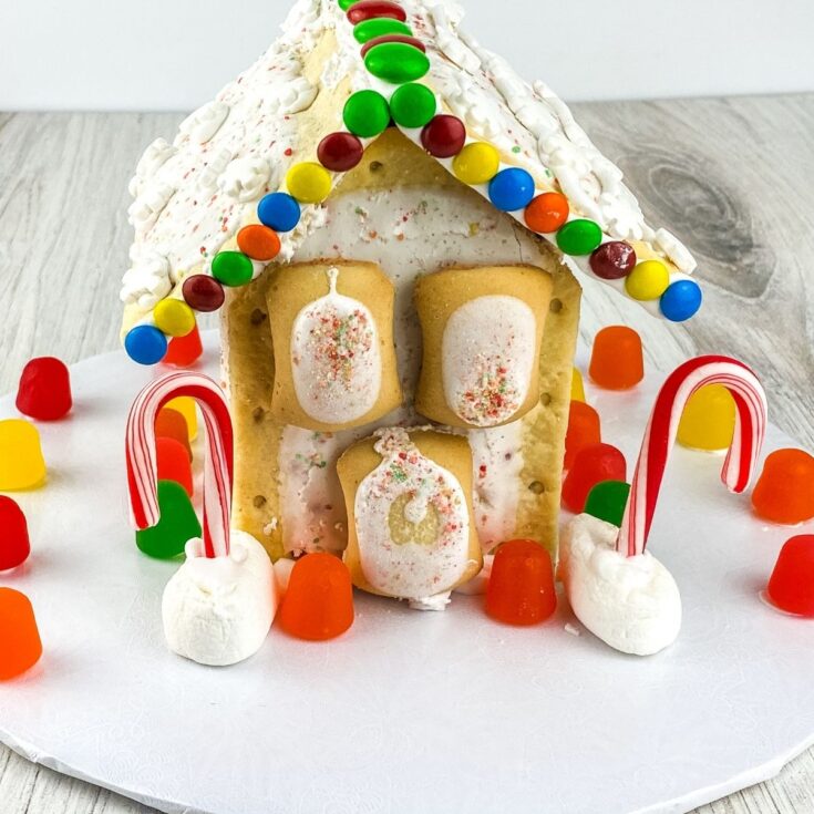 Pop tart house