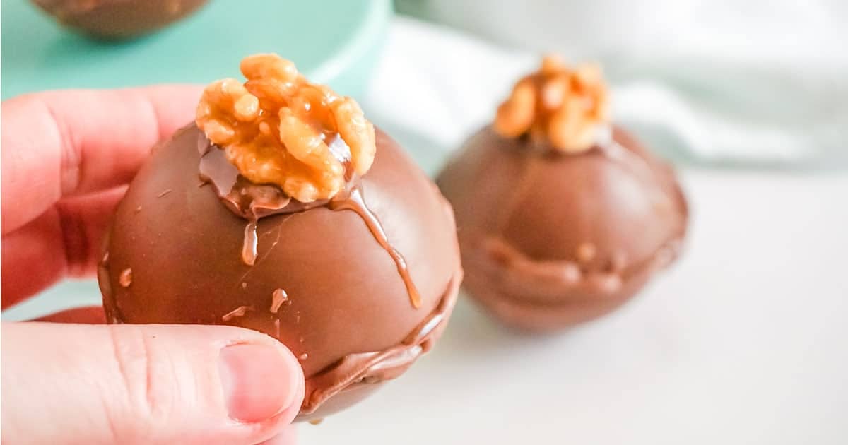 hand holding a turtle hot cocoa bombs