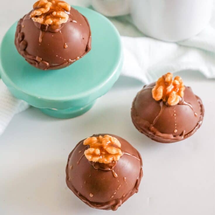 overhead view of turtle hot cocoa bombs