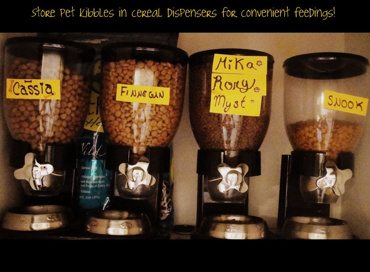 a cupboard shelf is shown with 4 dry food dispensers lined up. Each one has a different food into it and they are labelled on the front with yellow tape and black writing