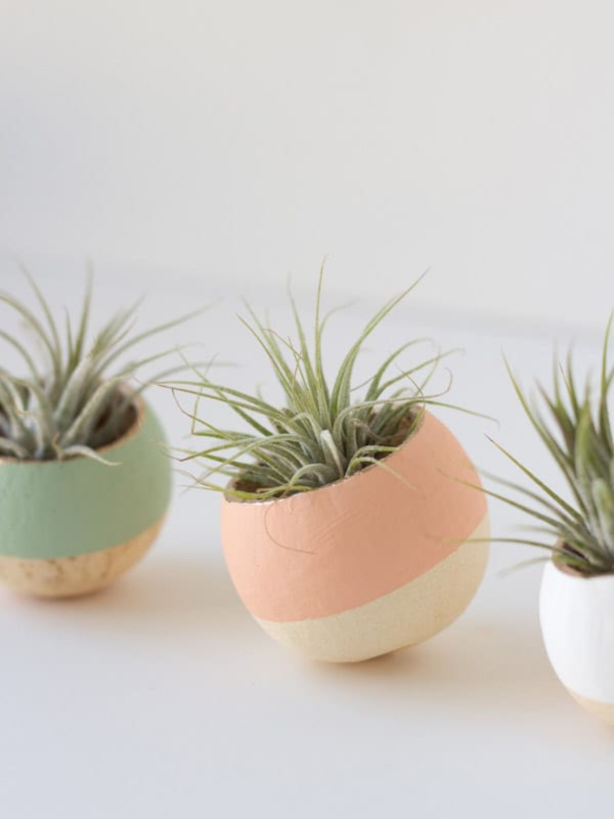 3 ball-shaped plant pots with colored rims sit on a white table. They have succulents planted in them.