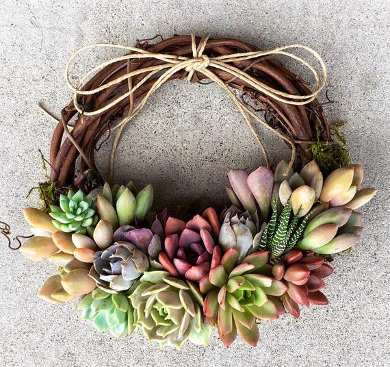 Succulent Juliette Wreath