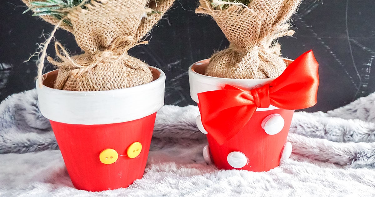 mickey and minnie pots
