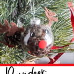 rudolph ornament cricut craft with text which reads reindeer ornament