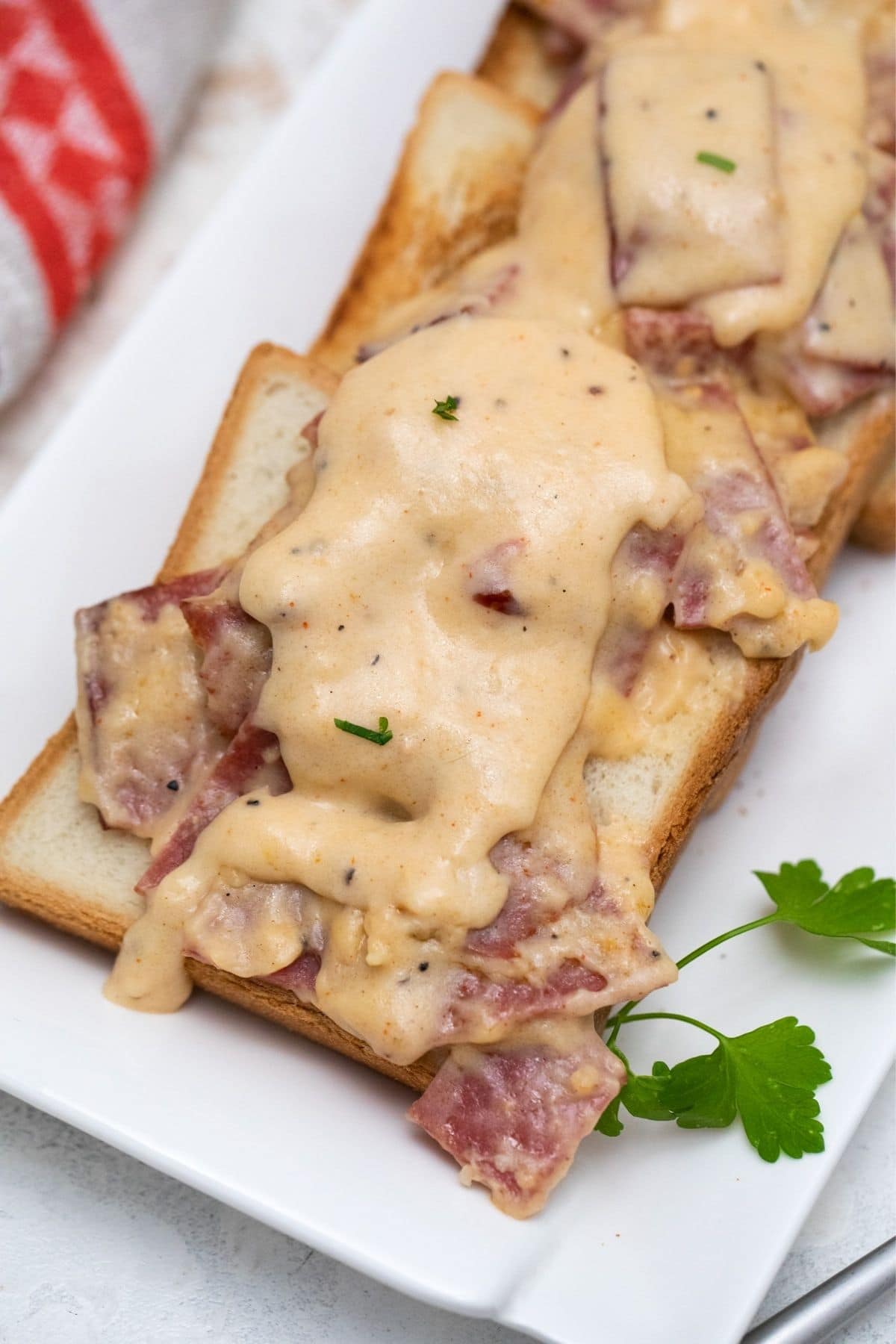 white plate of toast covered in beef gravy