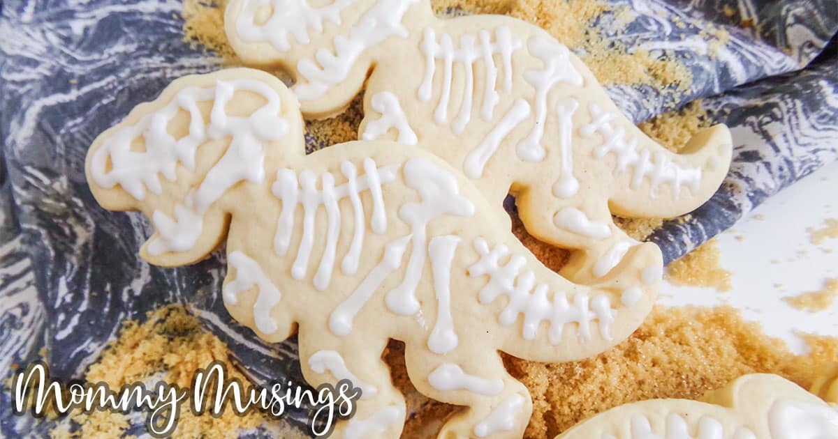 overhead view of fossil cookies