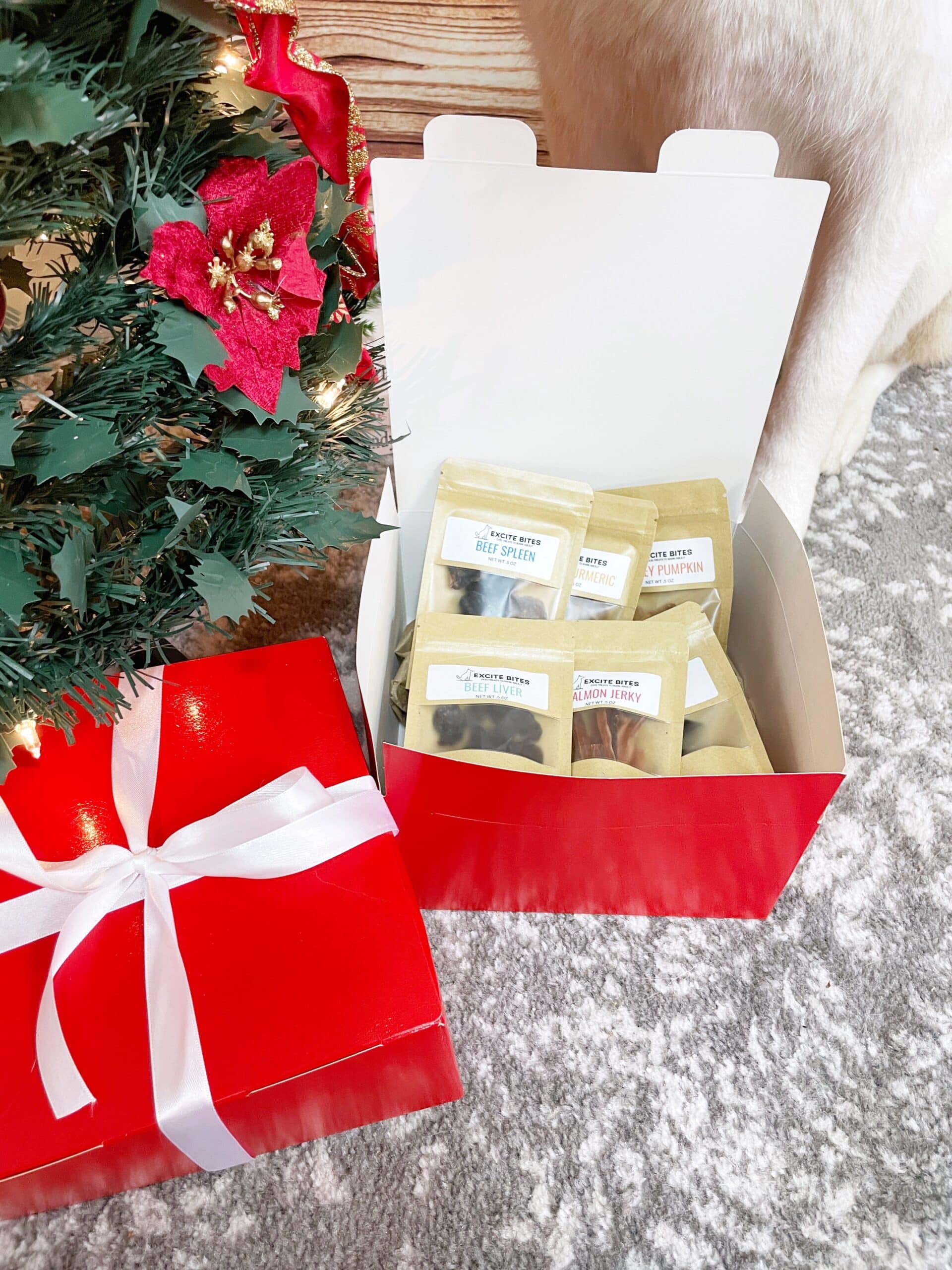 red box of dog treats by christmas tree